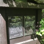 ツイートに含まれる画像