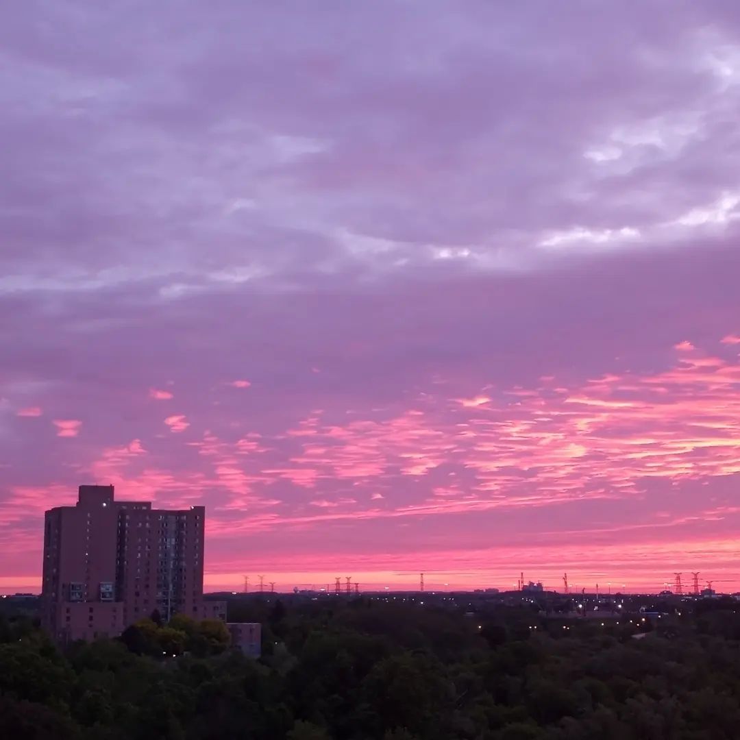 MsNyx's tweet image. #sunrise  #May29th #PinkSunrise💗 #CottonCandySky