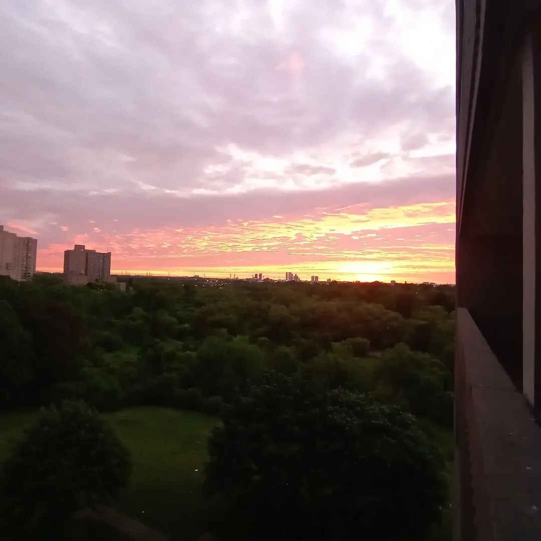 MsNyx's tweet image. #sunrise  #May29th #PinkSunrise💗 #CottonCandySky