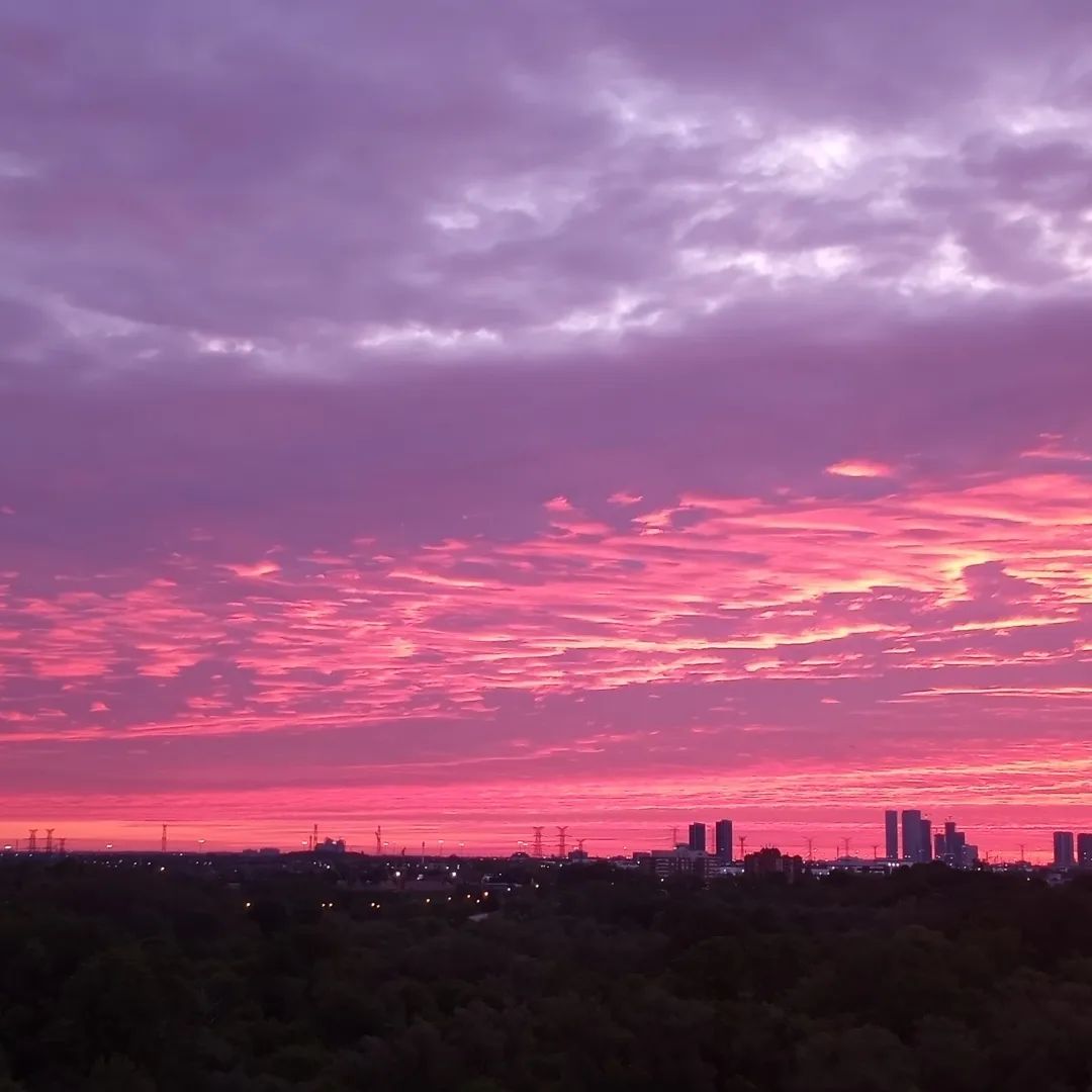 MsNyx's tweet image. #sunrise  #May29th #PinkSunrise💗 #CottonCandySky