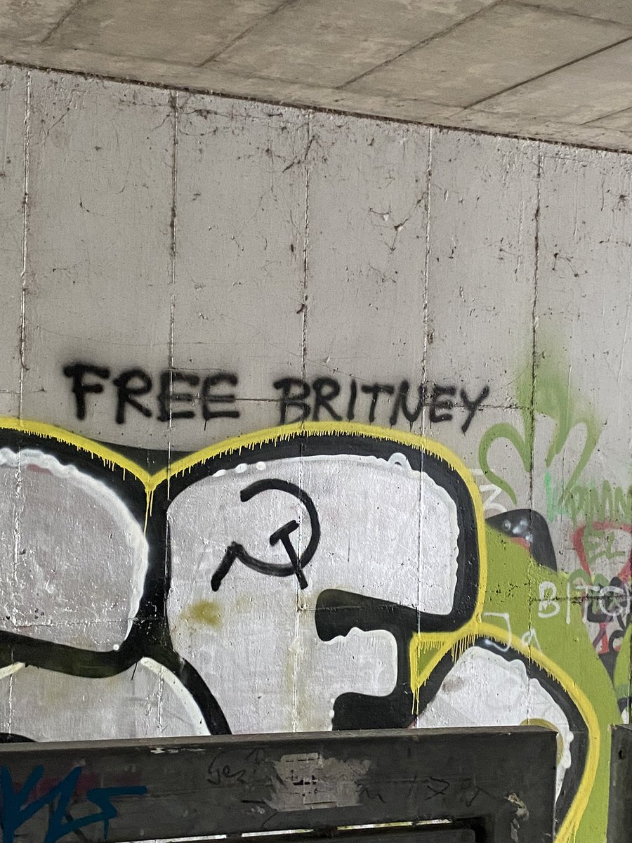 Sprayer in meiner Stadt so #FreeBritney