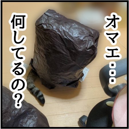 オマエずっとそのままだったの!?
 #ニャンコ #まんが #猫 #猫あるある #猫漫画 #ペット #飼い主 #エッセイ漫画 #キャット #ねこのいる生活 #4コマ 