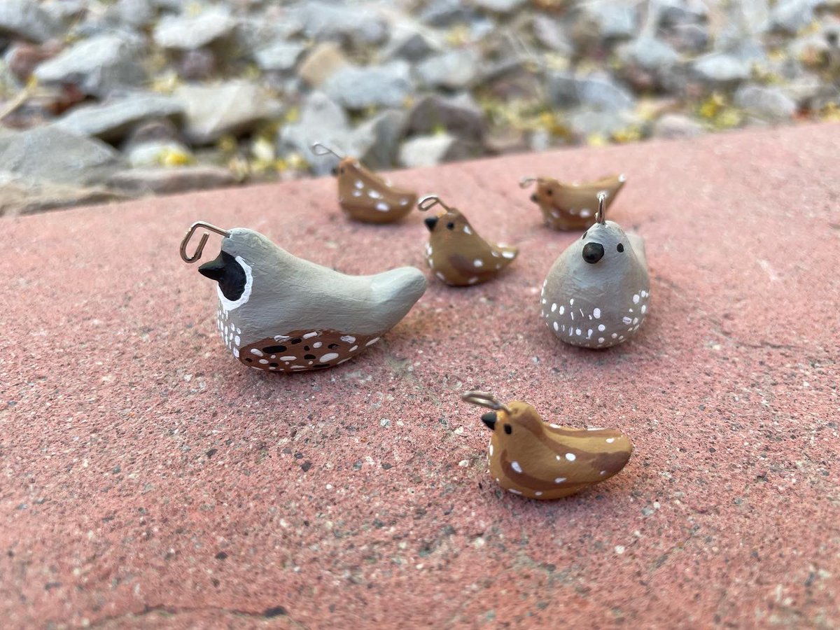eyesandends's tweet photo. Sweet lil quail family✨🥹 https://t.co/DscAJbDvp6