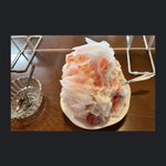 ツイートに含まれる画像