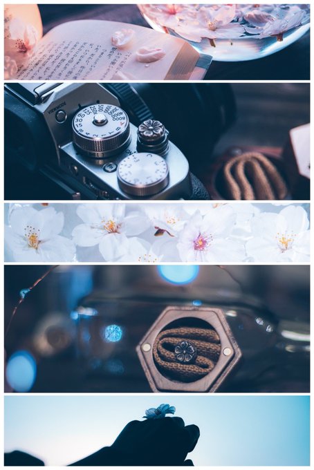 SakurafotoU's tweet photo. Sakura handmade shutter buttonšø
#camera #photo #photography #photographer #fujifilm #handmade #shutterbutton https://t.co/VOBXBibC8b