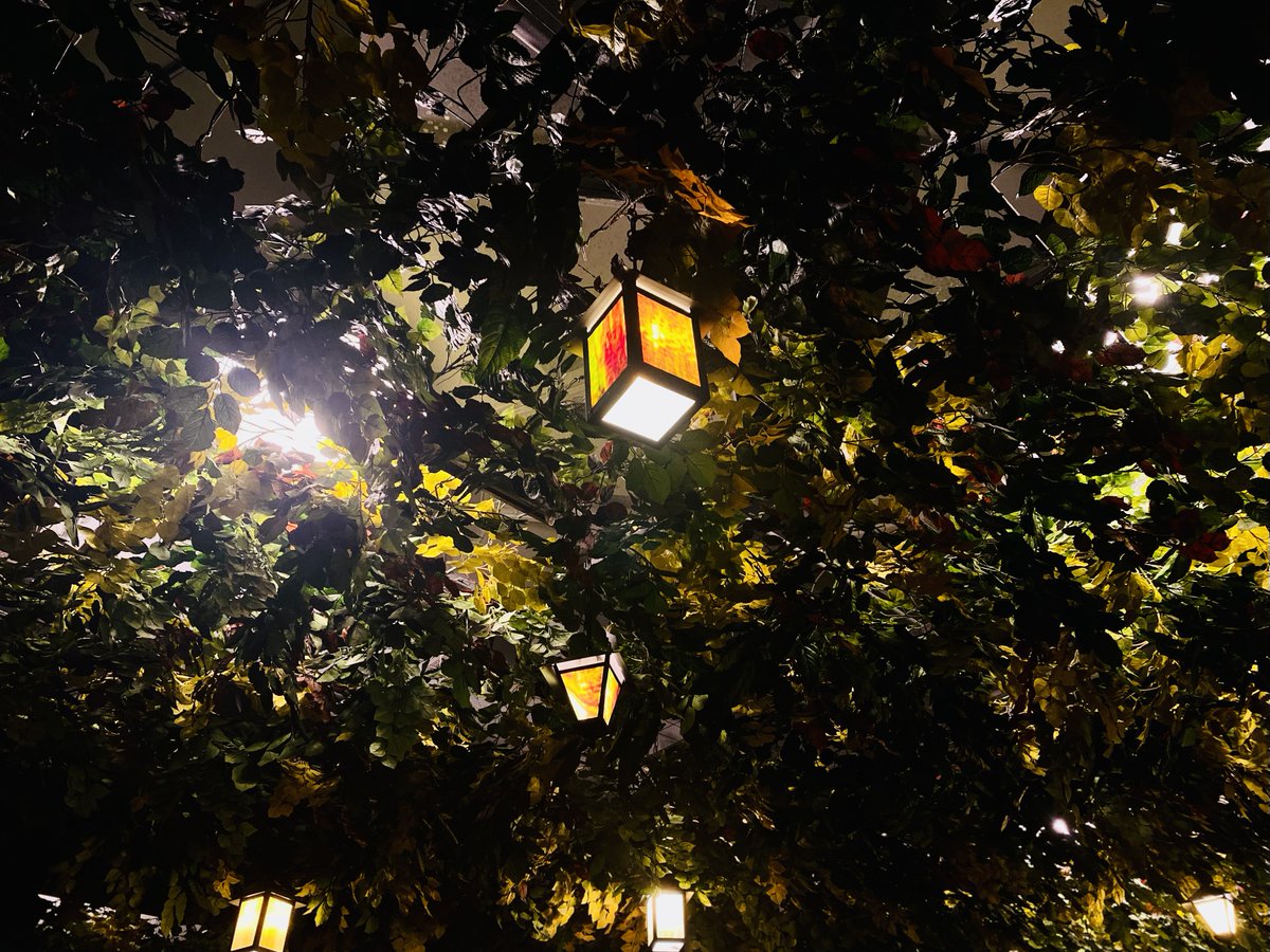 gillianwong0120's tweet photo. Is this a secret garden?🌿 Nah..it's a century-old theatre! Well-spent #SundayFunday at 𝐄𝐥𝐠𝐢𝐧 𝐚𝐧𝐝 𝐖𝐢𝐧𝐭𝐞𝐫 𝐆𝐚𝐫𝐝𝐞𝐧 Theatre Centre - the last operating double-decker theatre in the world. @Doors_OpenTO @cityoftoronto #DOT22 #Toronto #NationalHistoricSite #MARK4022 https://t.co/Q57JaGMJS8