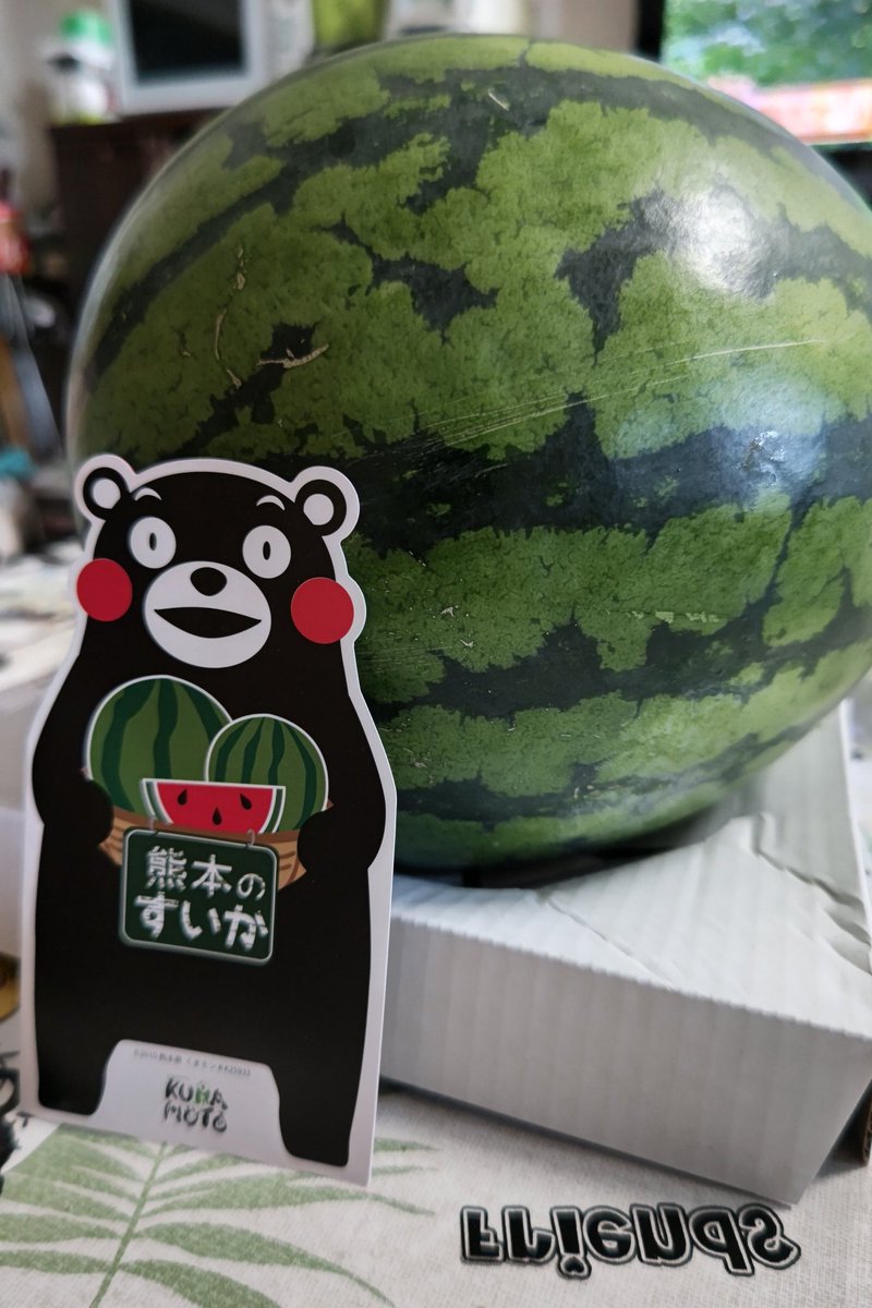 荒ぶるオコジョ tweet media