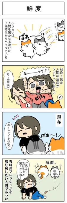 「鮮度」「祝☆1周年」
(はる蔵さんの「ふうらい日和」第50回)

これからも「ふうらい日和」の応援よろしくお願いします!🎉
https://t.co/NYpNbqgTD9 