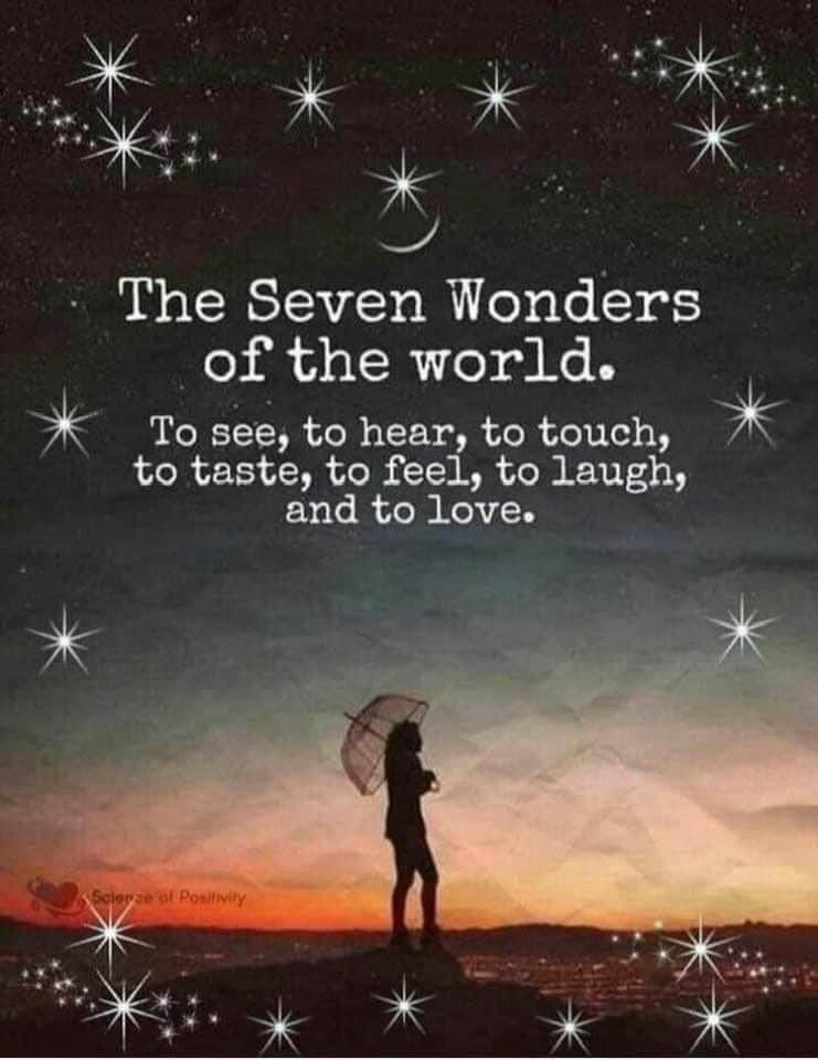 WoodlandsGSA's tweet photo. The #SevenWonders of the world:
To #see, to #hear, to #touch, to #taste, to #feel, to #laugh, and to #love
- #ScienceOfPositivity @sarahhhmoussa https://t.co/ICIwAMcwFe