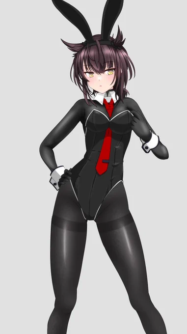 初月🐰うさぎ 