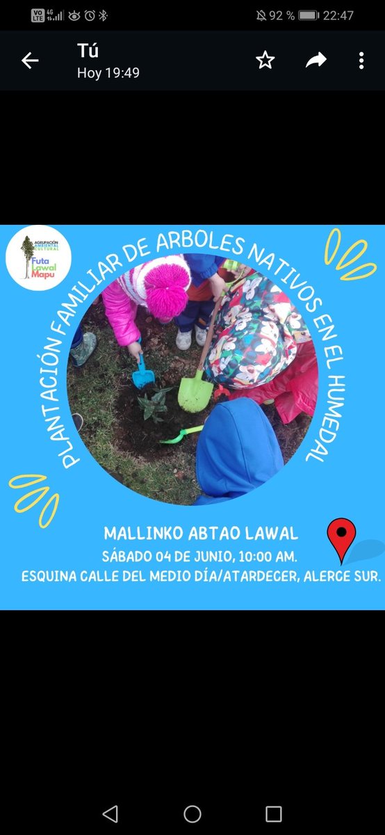 📣📰¡Atención Familias de Colonos 2, Altos de Alerce y Volcán Calbuco! 
👉🏽Próximo sábado 10:00 Am hay jornada familiar de plantación de árboles nativos, 📲escríbenos por interno y reserva tu árbol🌳🐦 tendremos Infografias del <a href="/HumedalAlerce/">Humedal Urbano Mallinko Abtao Lawal</a>  para regalar 🐦🥰