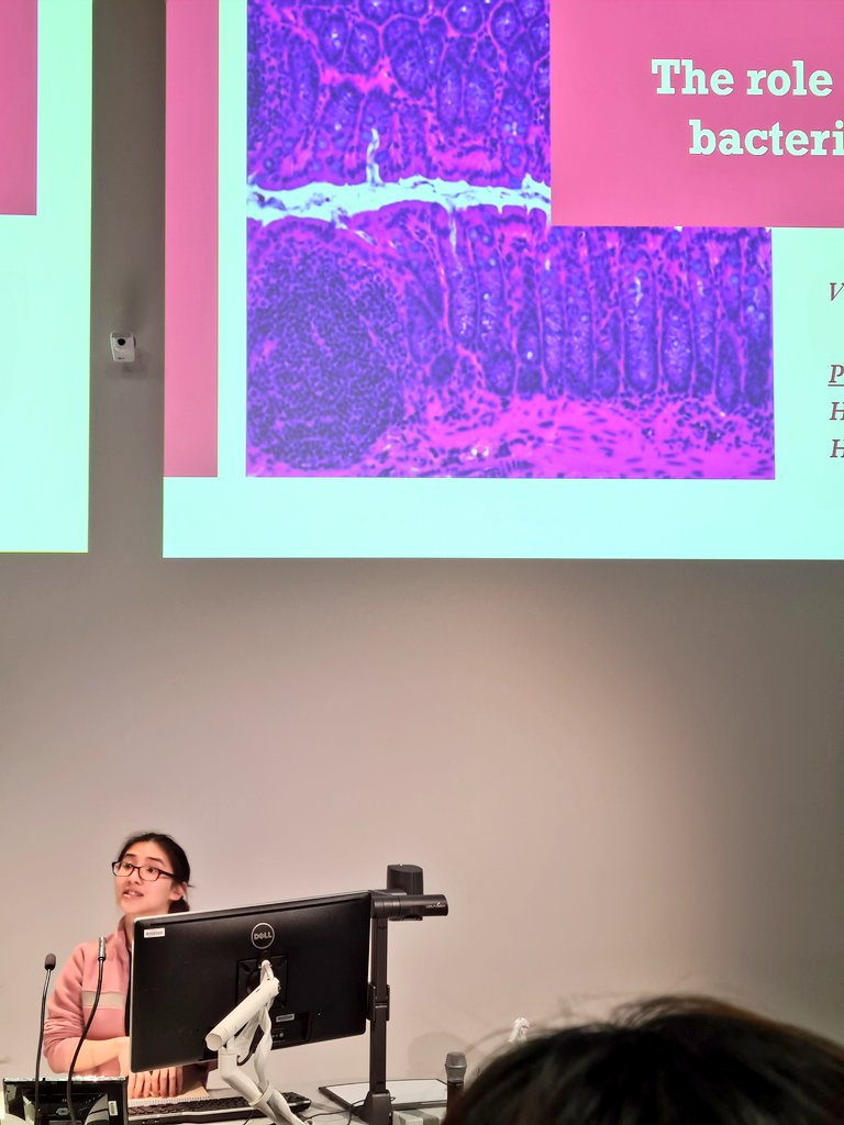 Maddie Wemyss (@maddiewemyss) on Twitter photo It was a pleasure to present alongside <a href="/eng_vik/">Vik Eng</a> and other Monash students at this morning's  IgV Student Roadshow! Excellent talks on a wide variety of fascinating projects - killer data in only 3 minutes! 🤩 
<a href="/ImmunoGroupVic/">ASI VIC TAS branch</a> <a href="/ASImmunology/">Australian and New Zealand Society for Immunology</a> <a href="/CiiiD_Hudson/">CiiiD Hudson</a> <a href="/Hudson_Research/">Hudson Institute of Medical Research</a> It was a pleasure to present alongside <a href="/eng_vik/">Vik Eng</a> and other Monash students at this morning's  IgV Student Roadshow! Excellent talks on a wide variety of fascinating projects - killer data in only 3 minutes! 🤩 
<a href="/ImmunoGroupVic/">ASI VIC TAS branch</a> <a href="/ASImmunology/">Australian and New Zealand Society for Immunology</a> <a href="/CiiiD_Hudson/">CiiiD Hudson</a> <a href="/Hudson_Research/">Hudson Institute of Medical Research</a>