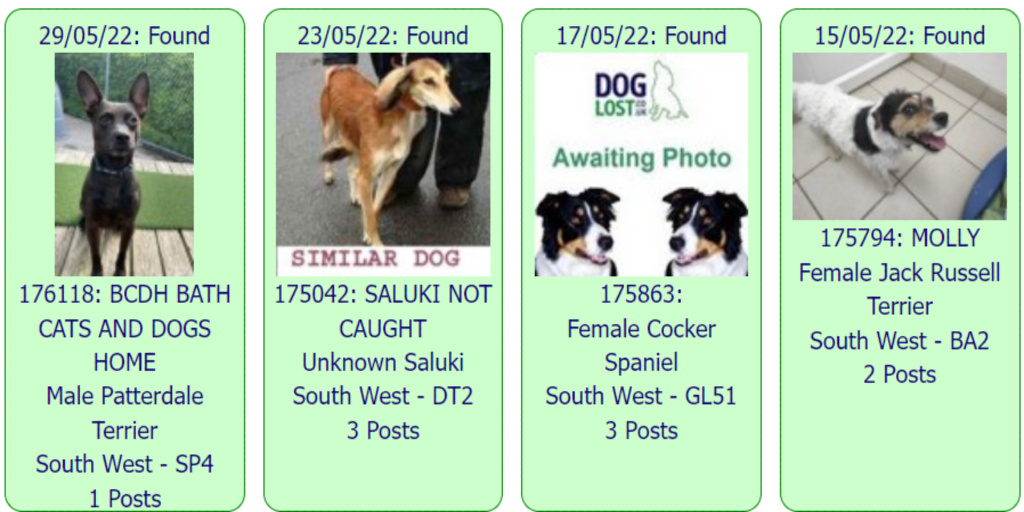 Are You Allowed Dogs On South West Trains