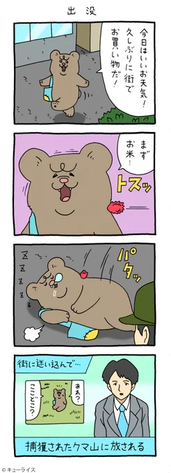 4コマ漫画 悲熊「出没」悲熊 #キューライス 