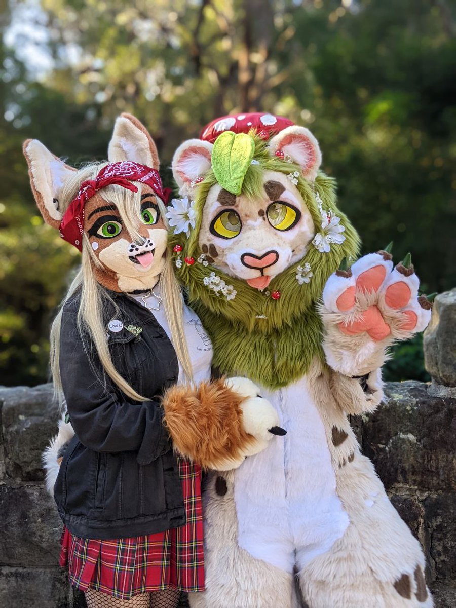 Millie_K9's tweet photo. Uhm HI how cute is this suit by @KikiChaosC π§‘π§‘π§‘π§‘
Taken at #MMM #MidMayMeet
#fursuit #furry #fursuiter https://t.co/3y2frNCNTg