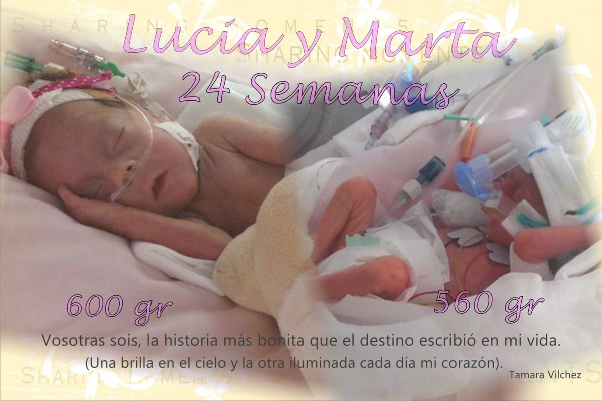 Asociación Matrioskas tweet media