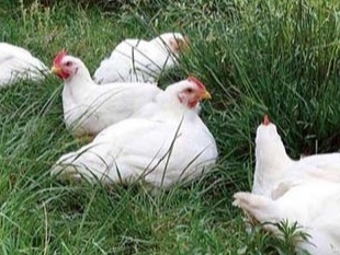 - mailchi.mp/4164ca49f8fa/t…