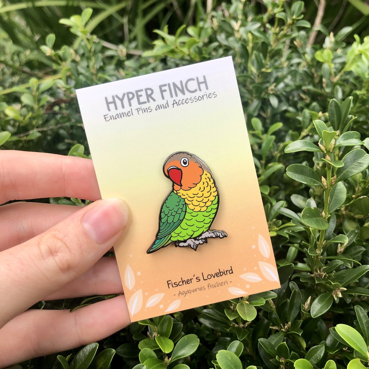 Lovebirds have landed!!! hyperfinch.com