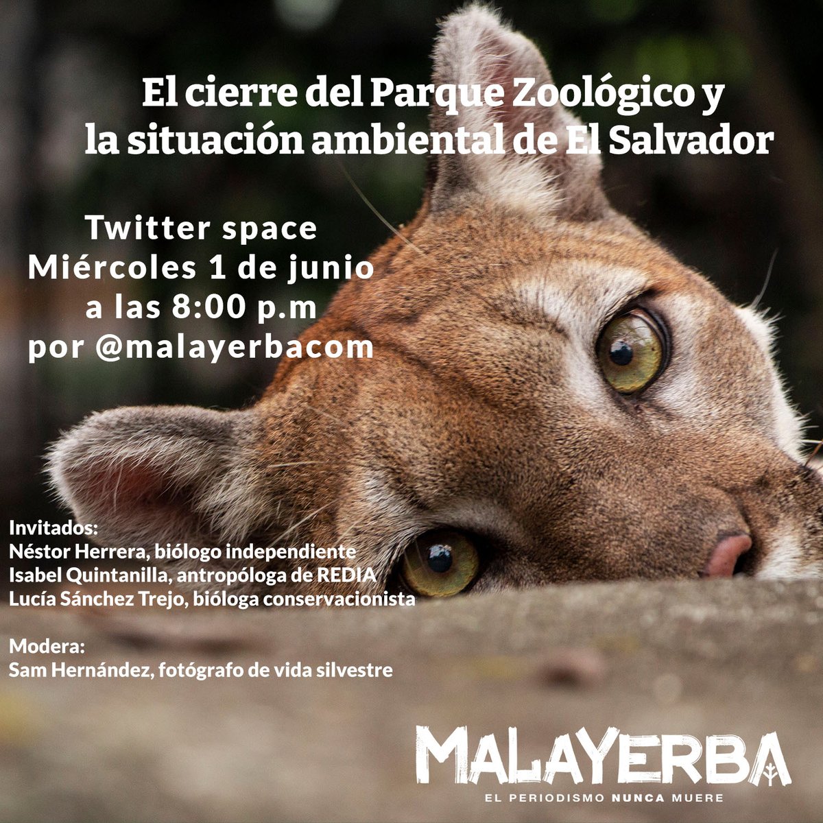 El 1 de junio hablaremos del cierre del Parque Zoológico Nacional en el contexto actual.

Nos acompañarán: 
Néstor Herrera, @noherrera2010 
Lucía Sánchez, <a href="/Luluciast/">Lucía Sánchez Trejo</a> 
Isabel Quintanilla, <a href="/isa_isabelina/">miau😺</a>. 

Y modera nuestro periodista multimedia, 
Sam Hernández, <a href="/Spizaetus_T/">Sam 🦕</a>