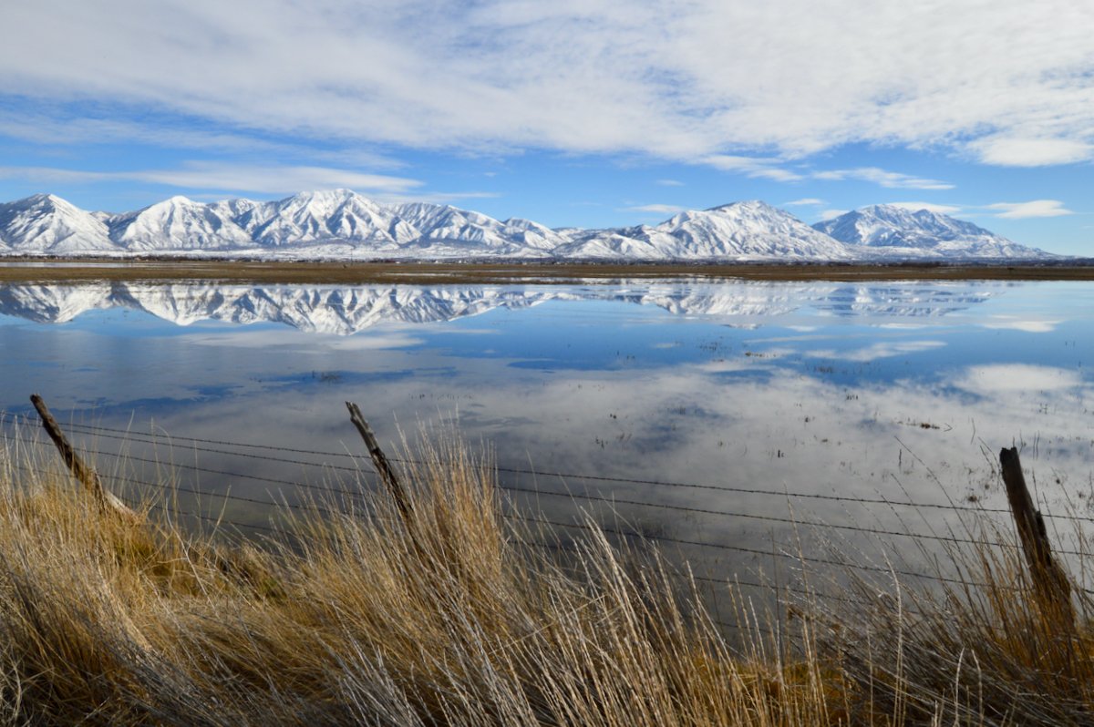 Today's Earth Science Picture of the Day
Reflections on the Southern Wasatch Mountains 🗻
Photographer: Ray Boren
epod.usra.edu/blog/2022/05/r…

#EarthSciPicofDay #wasatchmountains