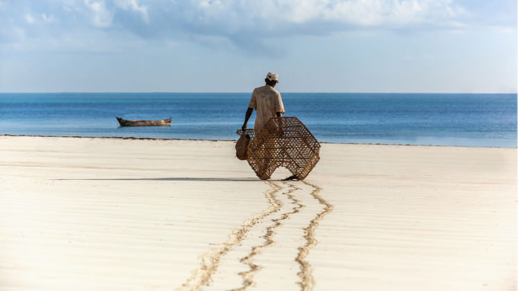 Sustainable 🐻 markets = 🙅🏼‍♀️
Sustainable 🎣 = 👍🏾

To learn more about advantages of sustainable fishing - iberdrola.com/social-commitm…

Image from iberdrola.com

#fishingfinance #defi #bsc #sustainablefishing