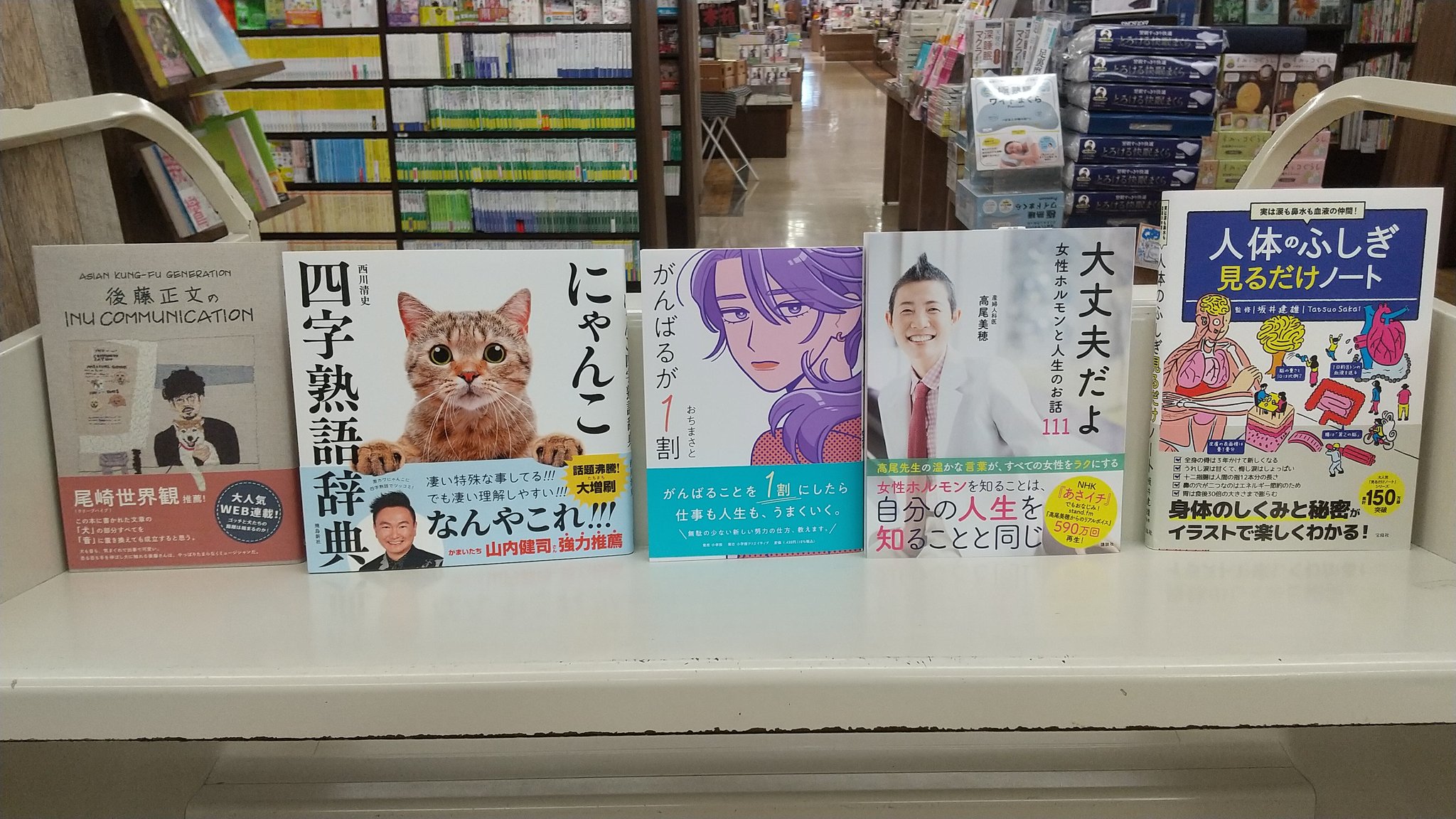 Tsutaya 中万々店 A Twitter 今朝の箱開け 犬と仲良くなるための21の旅 後藤正文 さん Inucommunication いくらでも覚えられそう にゃんこ四字熟語辞典 新しい自己実現の教科書 がんばるが１割 女性ホルモンを知ろう 大丈夫だよ女性ホルモンと人生の