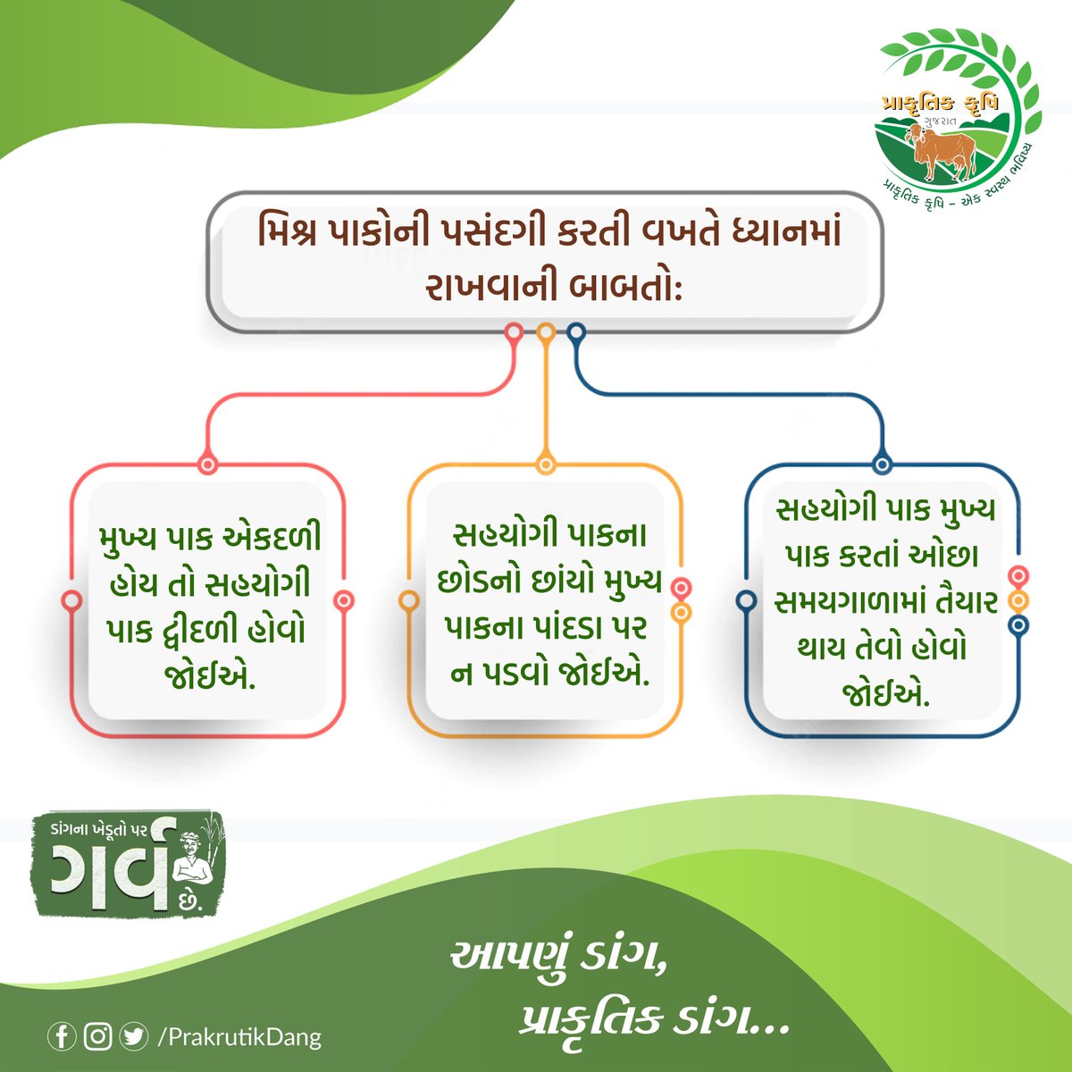 PrakrutikDang's tweet photo. મિશ્ર પાકોની પસંદગી કરતી વખતે ધ્યાનમાં રાખવાની બાબતો:
જો મુખ્ય પાક એકદળી હોય તો સહયોગી પાક દ્વીદળી હોવો જોઈએ.
સહયોગી પાકનો જીવનકાળ મુખ્ય પાક કરતાં ઓછો હોવો જોઈએ.
આ સહયોગી પાકના છોડનો છાંયો મુખ્ય પાકના પાંદડા પર ન પડવો જોઈએ.
#Maincrop #Multicropping #Dang #prakrutikdang https://t.co/LU5L1HQSJO