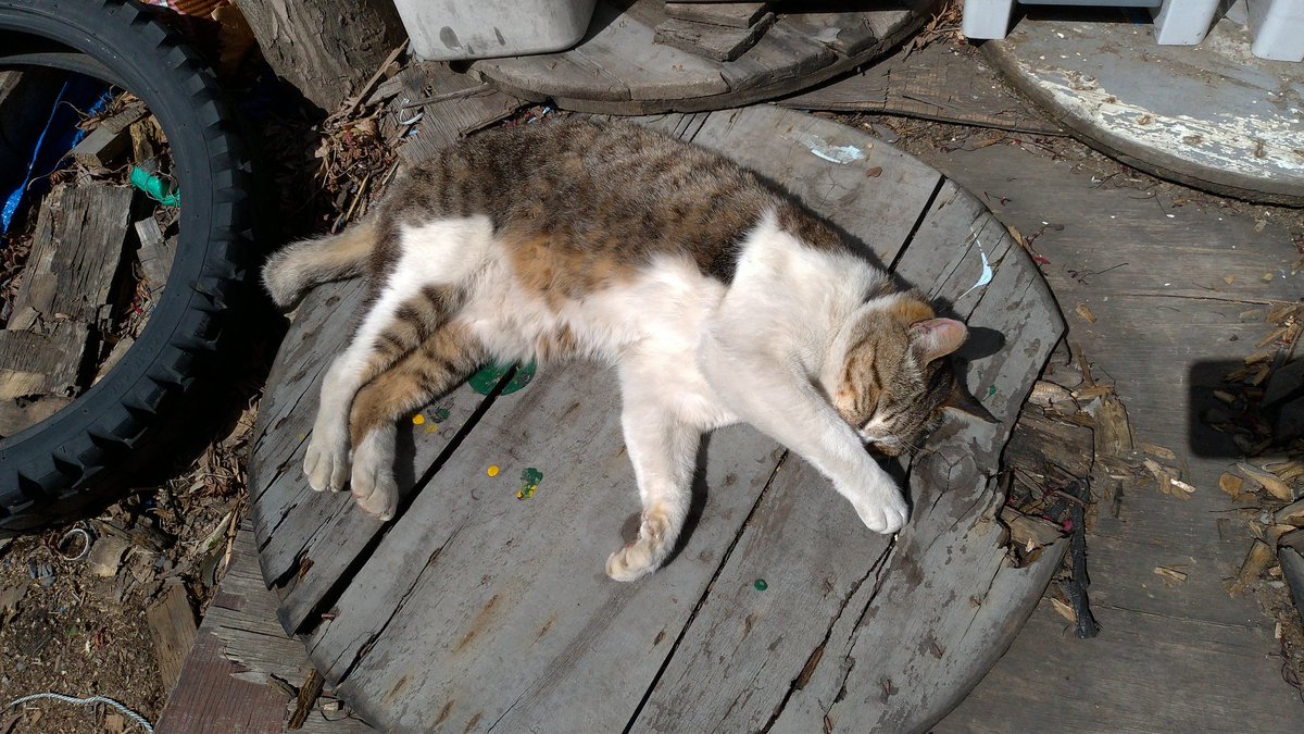 ヤドカリを出て厚岸へ向かってる
途中うらほろ留真温泉で風呂とサウナをキメてきたぜ、山奥でととのうのはいつにも増して気持ちいい 