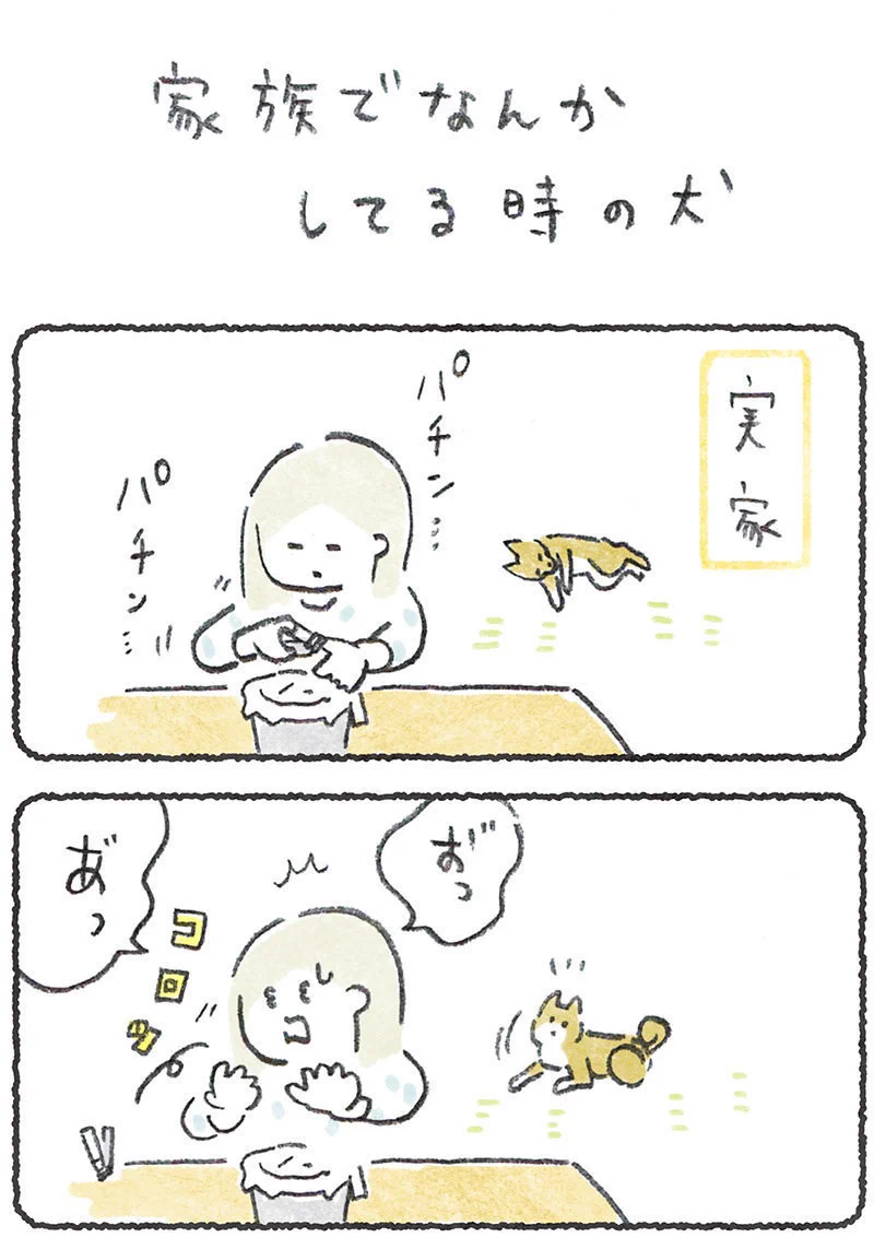 当事者意識のたかいワンちゃん！いつも一緒に「いる」！！