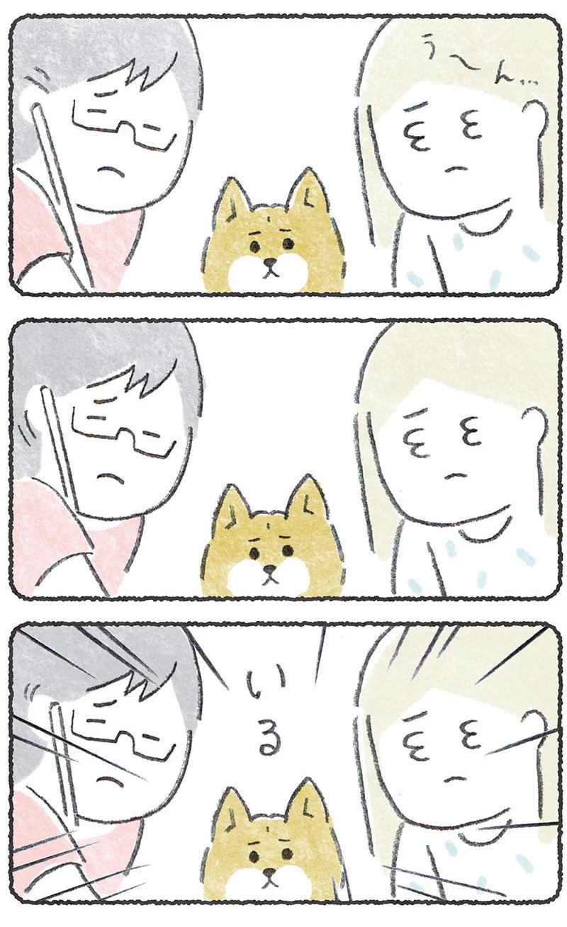 当事者意識のたかいワンちゃん！いつも一緒に「いる」！！
