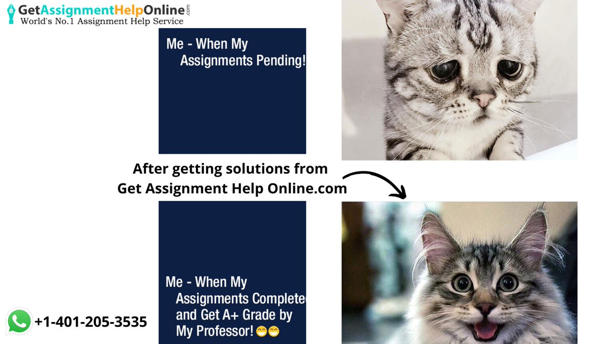 Johnand91051791's tweet image. It feels nice to get Good service and A+ grades for assignments after that.
What are you waiting for? 

HIRE NOW - getassignmenthelponline.com

#assignmenthelponline
#Homeworkhelp
#Getassignmenthelponline
#Students
#essaywriting
#onlineassignmenthelp