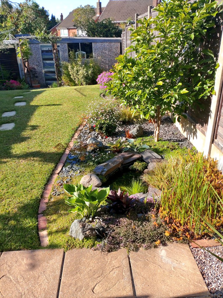 AVFCbrownie's tweet photo. Nice morning....👍 #gardening https://t.co/N9bHVuKkuo