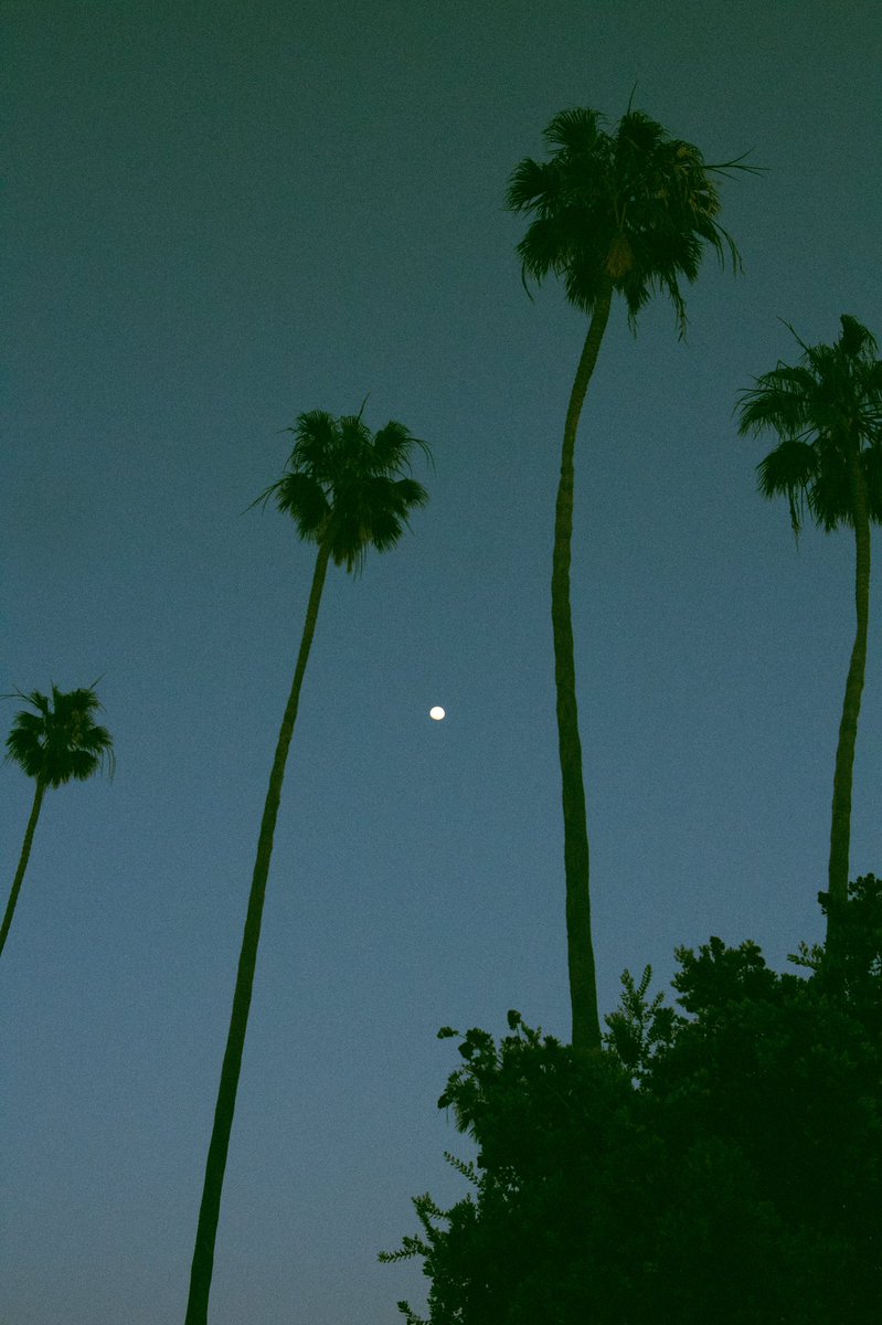 visualsofjess's tweet image. maybe i’m just tired