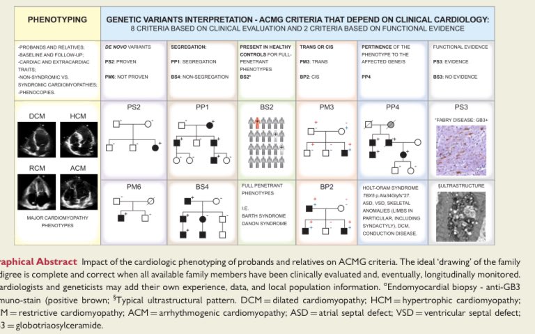 MondaEmanuele's tweet image. Interpretation and Actionability of Genetic Variant in #CMPs!
This document describes the contribution of clinical criteria to the interpretation of genetic variants using heritable Mendelian cardiomy-
opathies as an example.
@escardio #ESCGenomics
 academic.oup.com/eurheartj/arti…