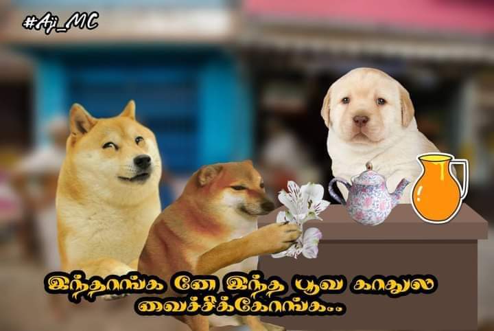 Ak35782836's tweet photo. @Aditya03_STR Nee yarda comali koothi avana aduthu oru hot kidukka sollittu vaai punda pesu avan la oru aalu punda https://t.co/W4sg7qR8Wq