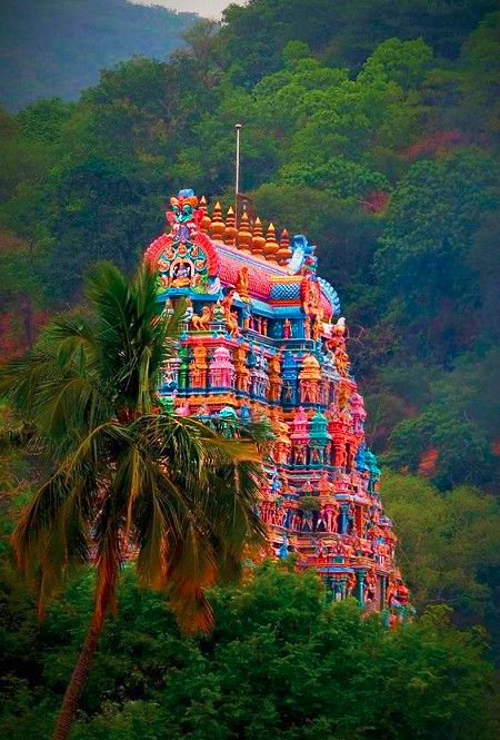 A beautiful temple among the greenery. Hopefully a ARG is setup nearby to record the rainfall of this hills. Lot of times, it gets good thunderstorms.

Name of the hill anyone ?