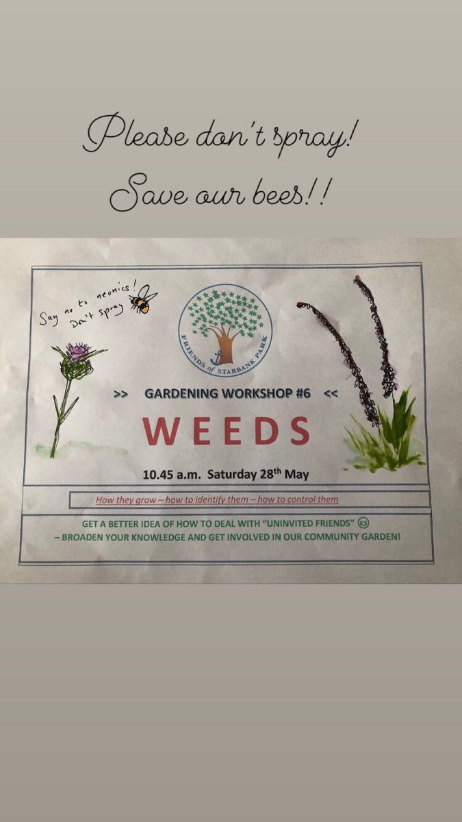 StarbankPark's tweet photo. Come to @StarbankPark this morning and learn all about weeds! 20:45 28th May 2022 #gardeningworkshop #weeds #weedidentification #communitypark https://t.co/W0BoCR2Cyo