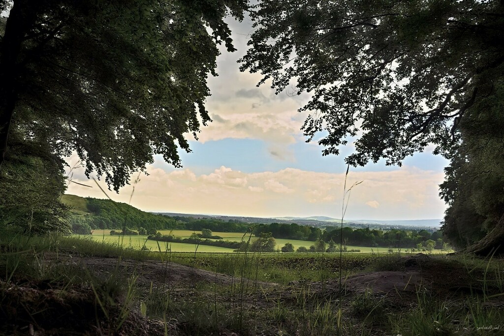 Märchenhaft.

An dieser Stelle jogge ich in guten Wochen dreimal die Woche vorbei. Weil ich kurz davor einen Berg nach oben laufe, kann ich den Ausblick dann oft nicht genießen 😅. 

#landscape #hike #instagood #photography #views #aussicht #viewpoint… instagr.am/p/CeF5ctLIgXQ/