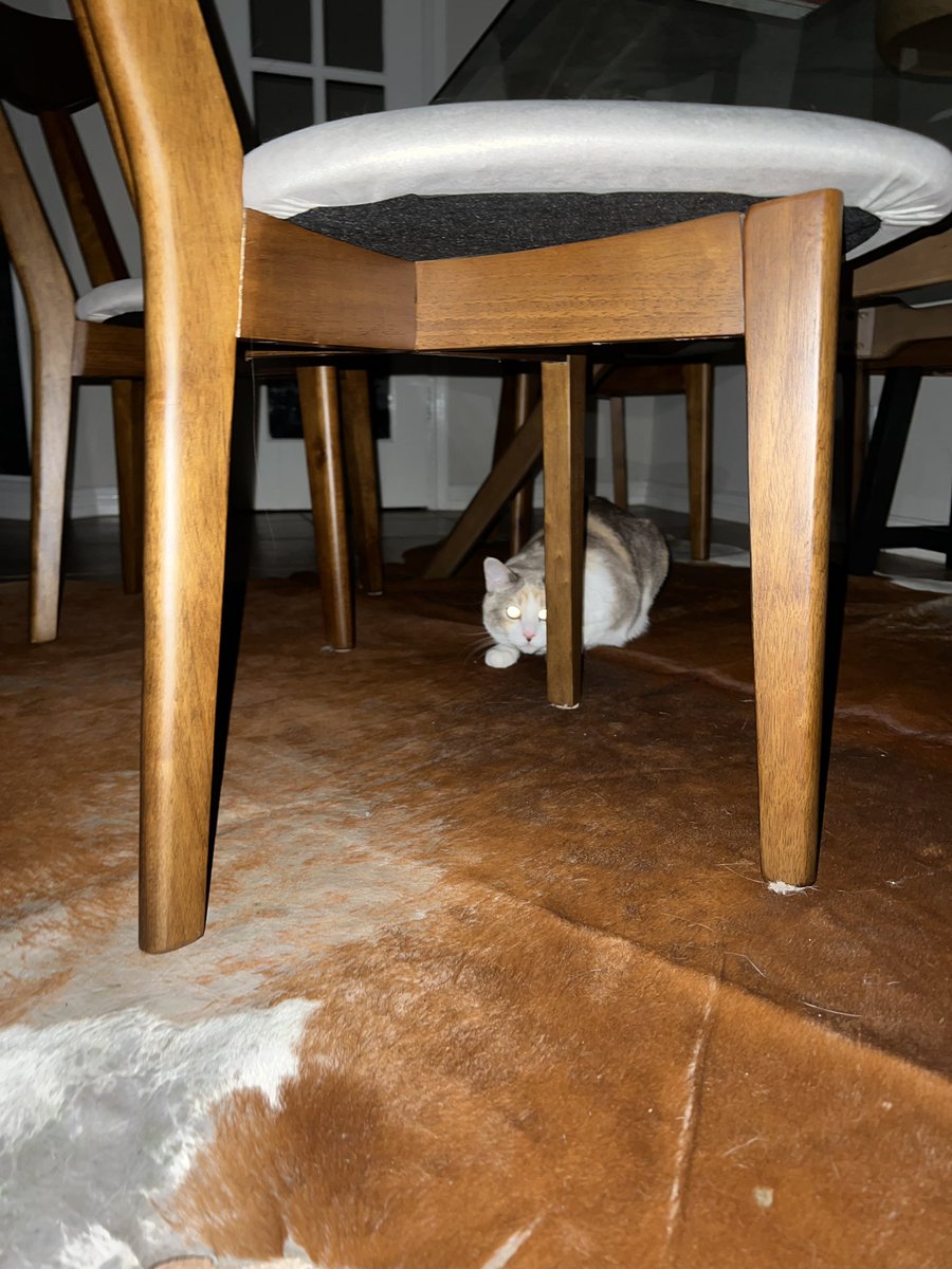 fatfatpankocat's tweet photo. Lurking https://t.co/bG8xCuAtMU