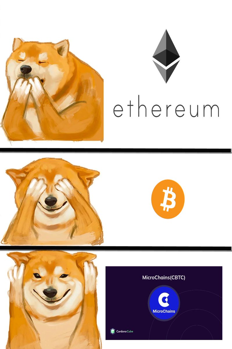 tansonnha4's tweet photo. #MicroChainsMEME @Microchiansbtc 
my meme!! https://t.co/VHJQDCvomm