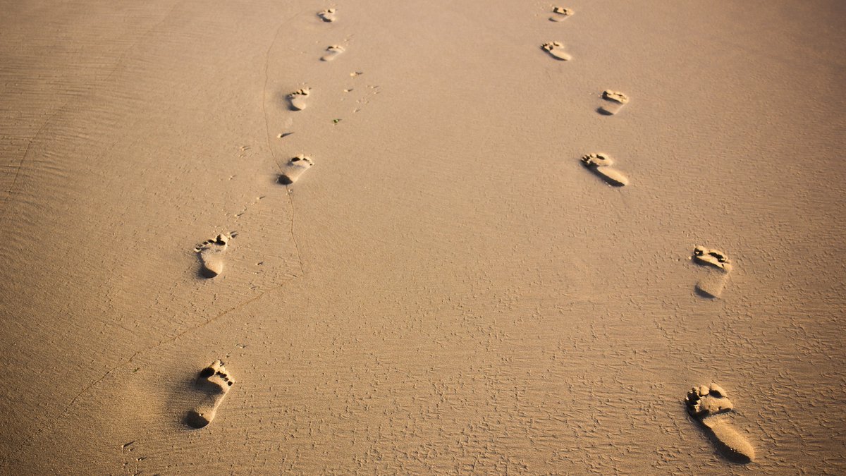 “Open our eyes and ears
Open our hearts and minds
Open our lives and communities”
#prayer Read more: sanctuaryfirst.org.uk/daily-worship/…