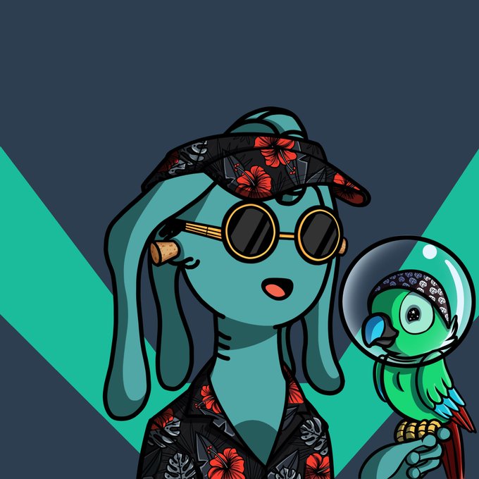 Promo NFT Club tweet media