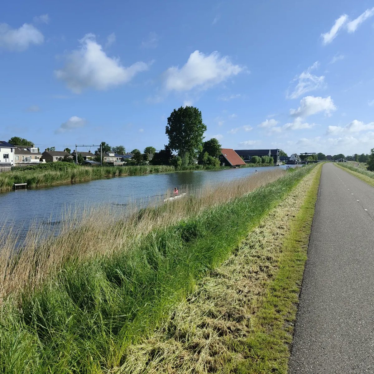 Wat hebben wij toch een schitterend roeiwater in #Purmerend. Wil je ook genieten van de rust om je heen? Geef je op voor drie gratis proeflessen via prvdewhere.nl

#roeien #kwadijk #sport 
#buiten #fitvoordevakantie