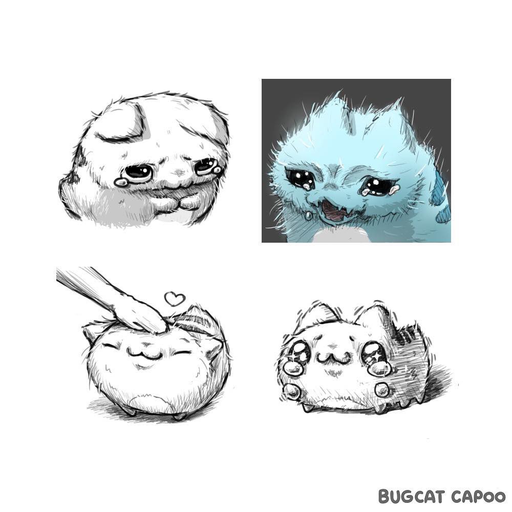 bugcat_capoo_tw's tweet photo. 貼圖多了幾張毛茸茸的咖波 https://t.co/s6nshbGUqQ