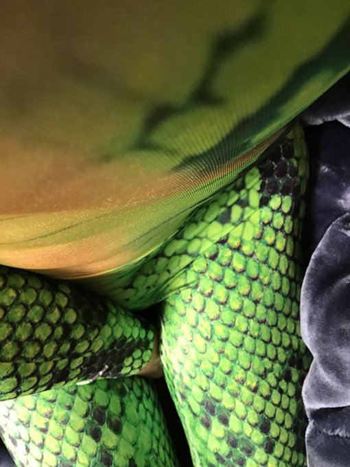 I love this snake zentai #zentai #crossdressing https://t.co/eb2jCXC1J0<a href="/tag/zentai"class="tags">#zentai</a><a href="/tag/crossdressing"class="tags">#crossdressing</a>