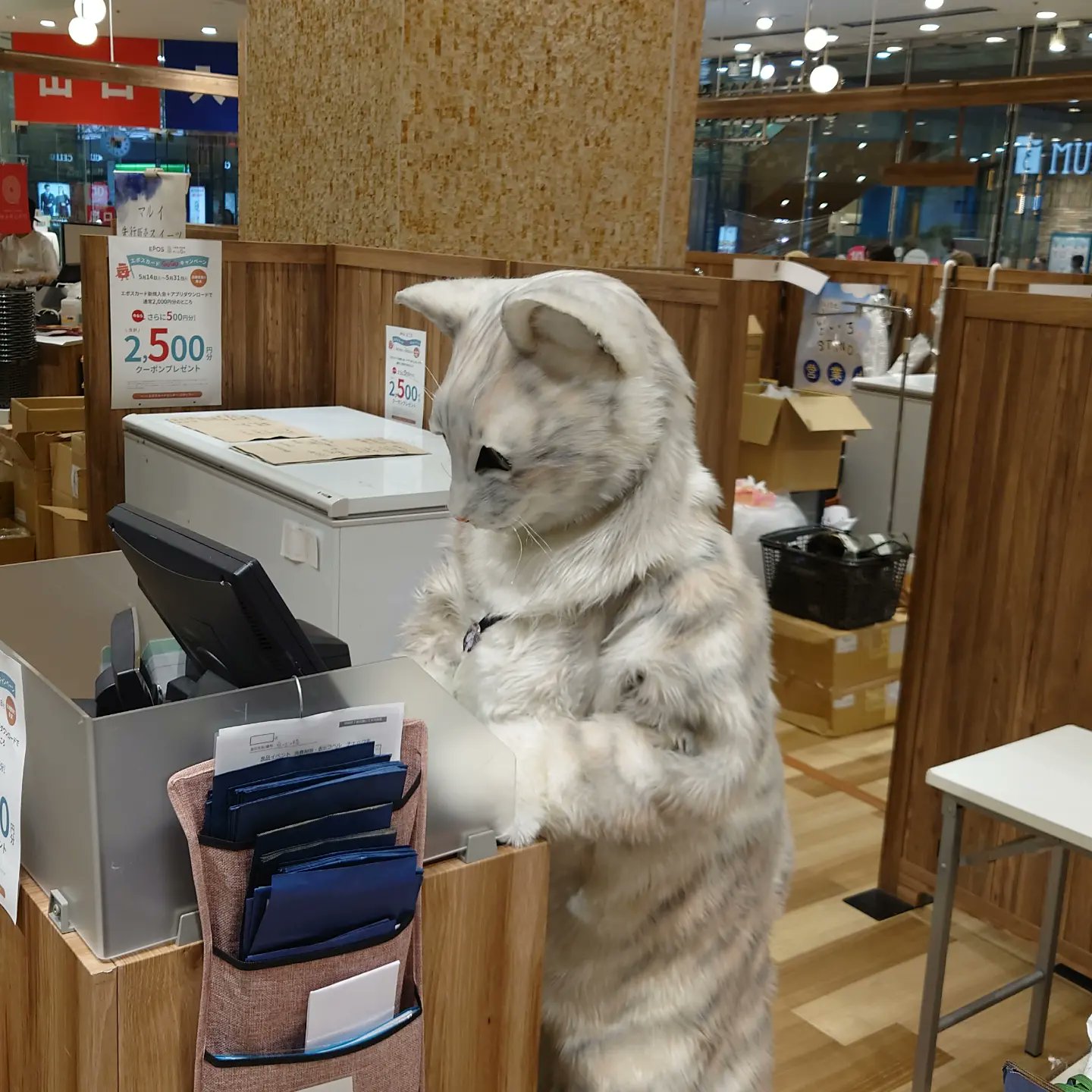 プリン専門店 坂の上の猫 源田 晃一 公式 おはようございます 今日は晴天です ミクちゃんは今日もレジ係 皆様のご来店をお待ちしております 坂の上の猫 坂の上の猫プリン ミクちゃん 国分寺マルイ T Co Tsca3u3hek Twitter