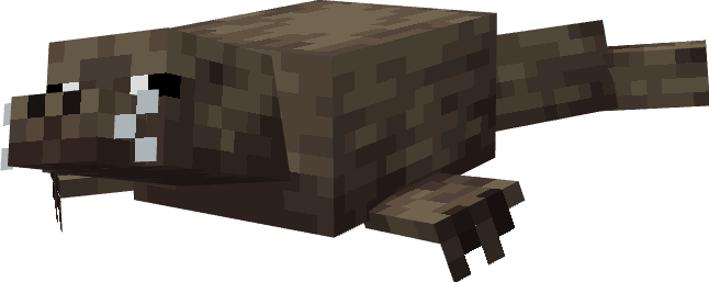 Carro1001 tweet media