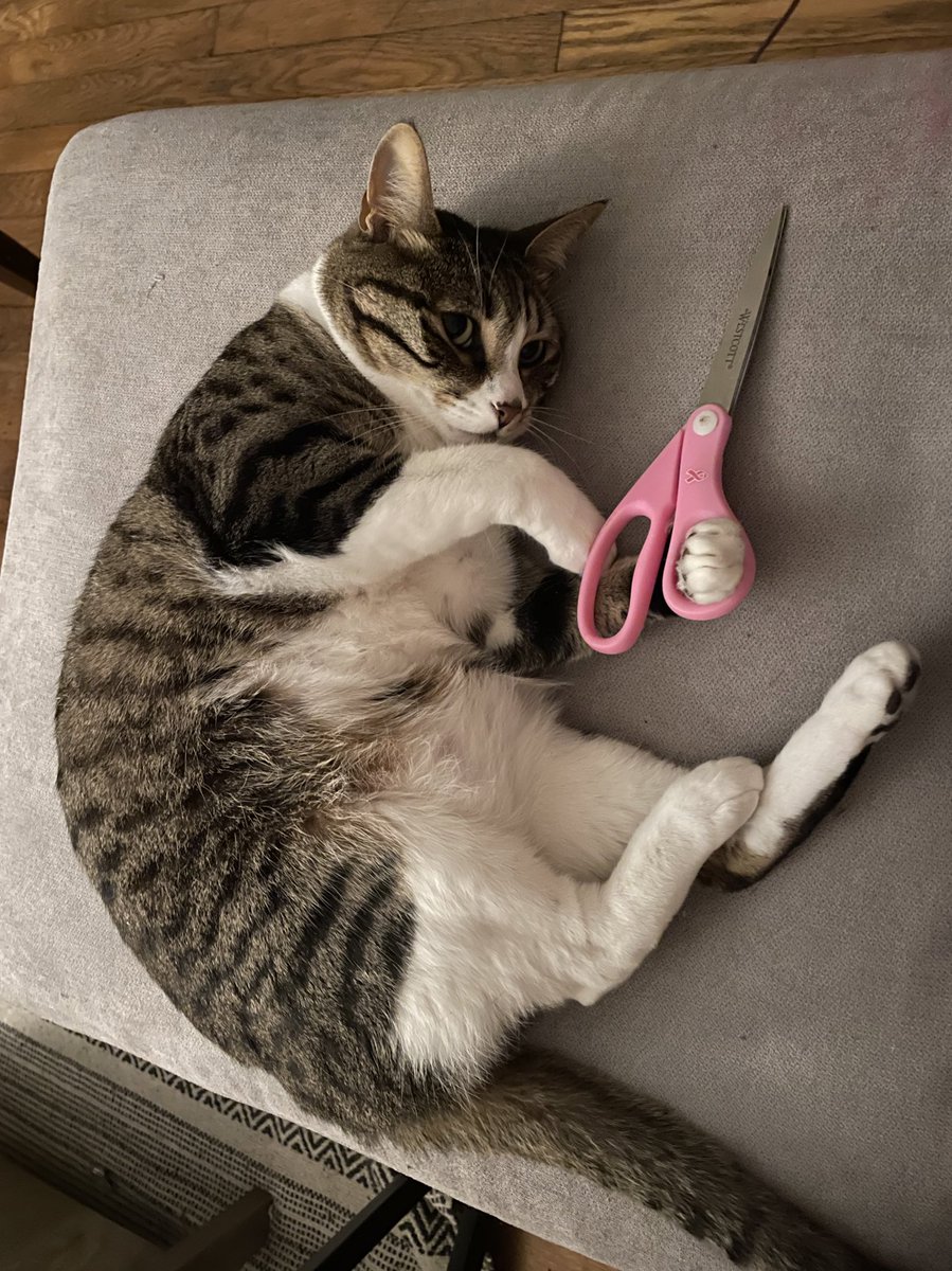 don’t cross me bitches I’ll cut u