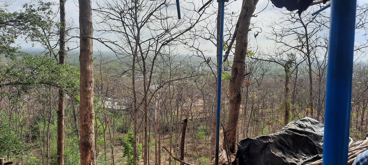 dev_gagiya's tweet photo. A view from half way up The Parnera Hill, Chamunda Mata temple, Gujarat. 
Couldn't climb to the top, a result of avoiding physical activity for quite a long time. 

Bright sunshine and cool wind with slight cloud cover. Wonderful atmosphere.

#Parnera
#Gujarat
#Hills https://t.co/FvzXndPbCe