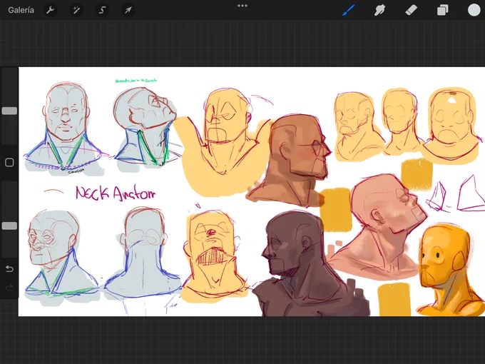 anatomical practice on the neck, I had too much time without making anatomy notes 